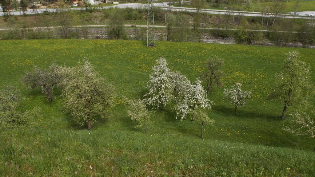 Haus Peter Schiestl Daire Zell am Ziller Dış mekan fotoğraf
